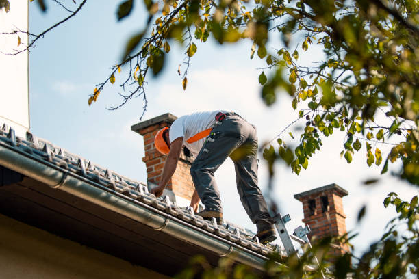 Steel Roofing in Broad Creek, NC